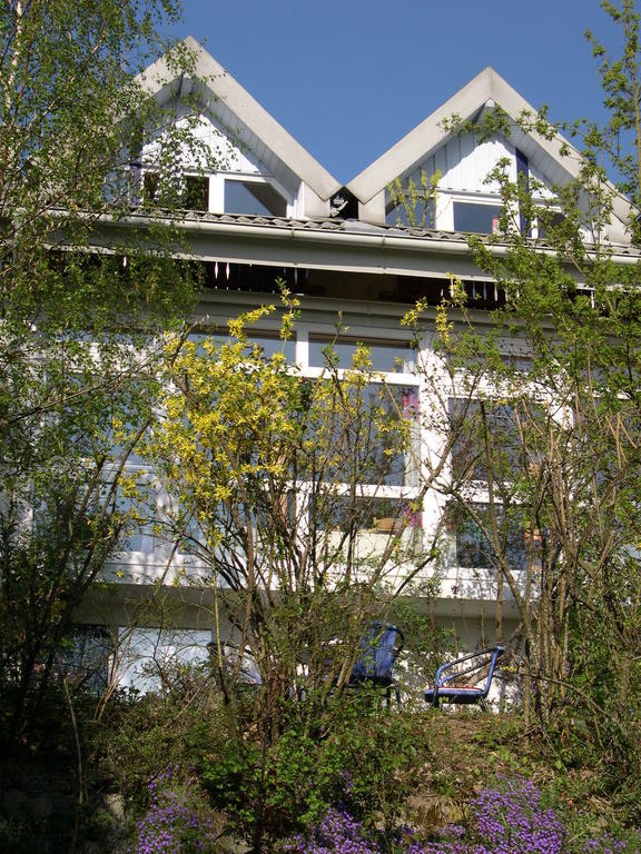 Gesundheitshotel Haus Sonnenstein Salem  Ngoại thất bức ảnh